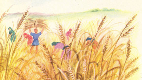 Harvest-is-Plentiful
