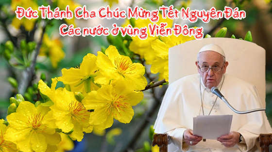 pope-chuc-tet-Phanxico chuc mung Tet Nguyen dan cac nuoc